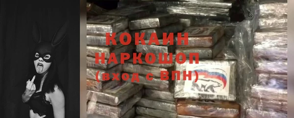 МДПВ Инта
