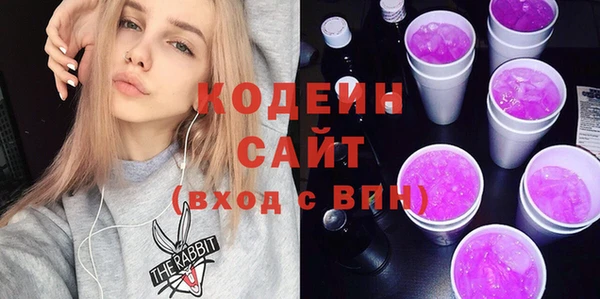 МДПВ Инта