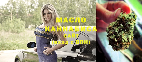 МДПВ Инта