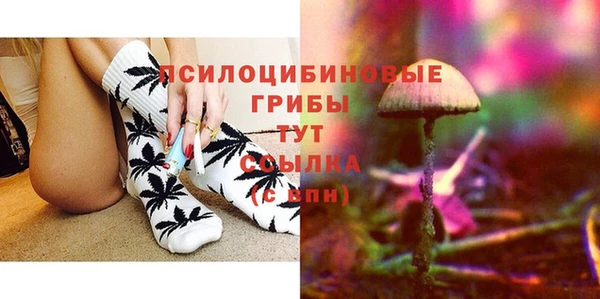 МДПВ Инта