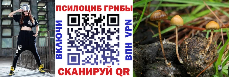 Купить где  Нижнеудинск  Псилоцибиновые грибы ЛСД 